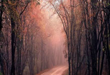 2012年NBA总决赛G5有哪些震撼瞬间？全场回放能挖掘多少篮球魅力？